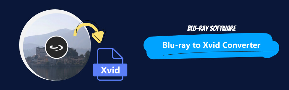 Blu-ray to Xvid Converter