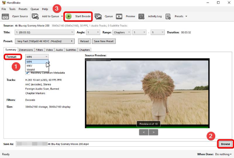 Handbrake Starts Encode and Compress Video